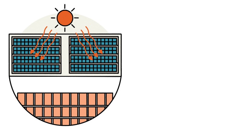 Illustration einer Pflanze, die den Trendbegriff Urban Farming darstellt.