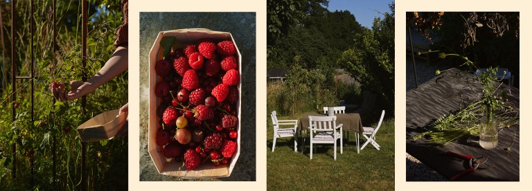 Vier Bilder nebeneinander angeordnet. Sie zeigen Impressionen aus dem Schrebergarten.  