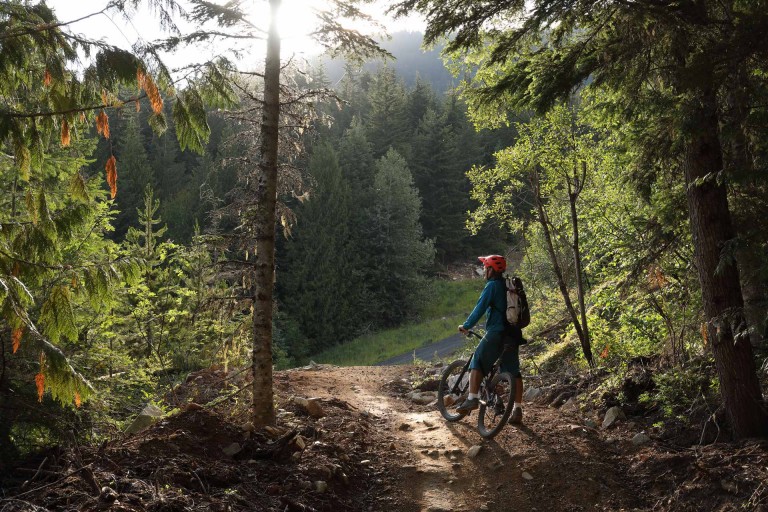 Ein Mountainbiker auf einer Waldlichtung.