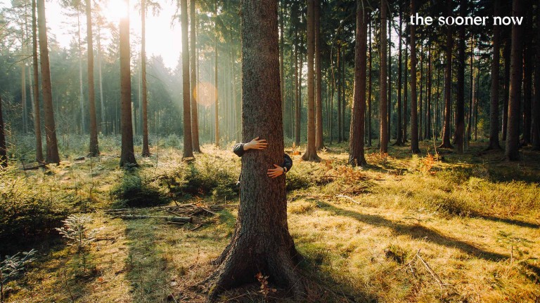 Eine Person steht in einem Wald und umarmt einen Baum.