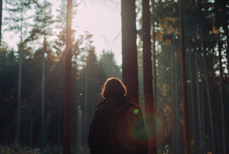 Rückansicht einer Frau, die in einem Wald steht und in die Sonne blickt.