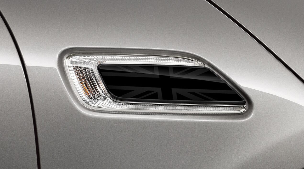 51142459031_MINI_Zierblendense  